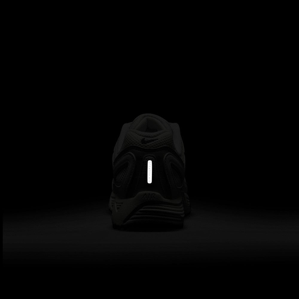 Air Pegasus 2005 Lifestyle Shoes