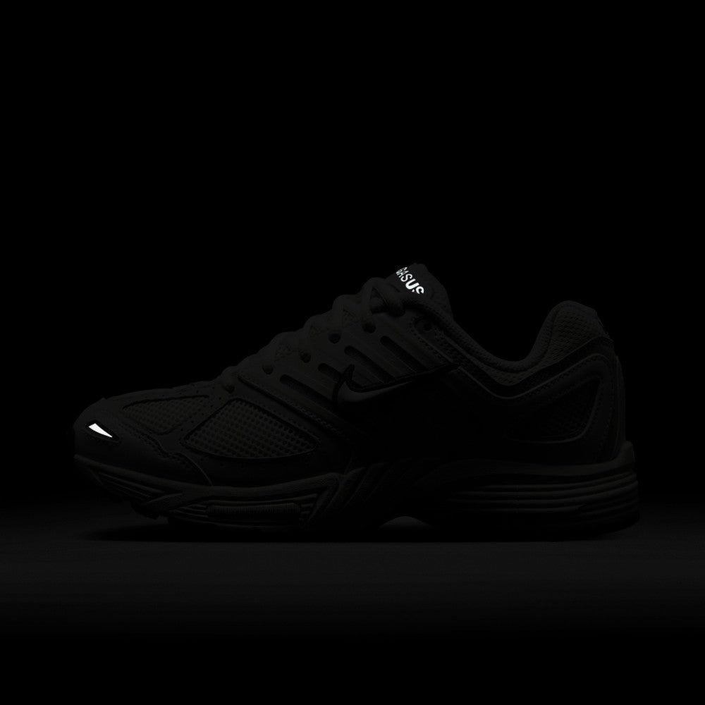 Air Pegasus 2005 Lifestyle Shoes