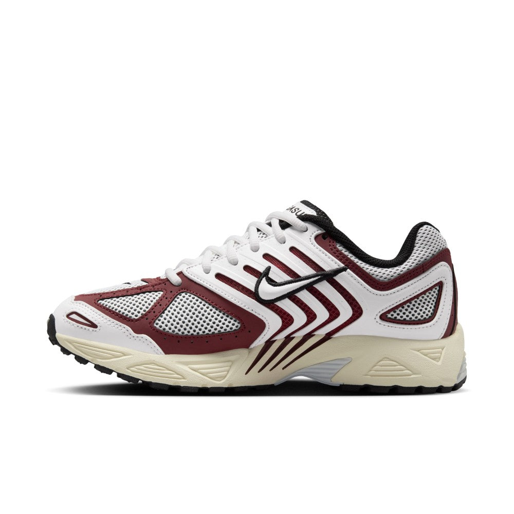 Air Pegasus 2005 Lifestyle Shoes