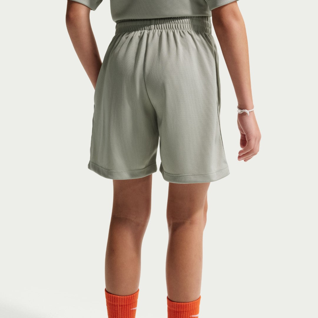 Multi Dri-FIT Training Shorts