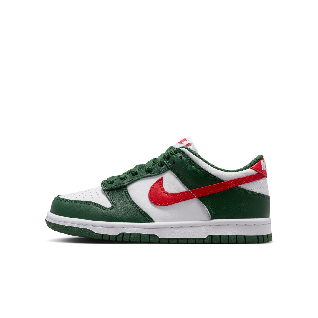 Dunk Low Shoes
