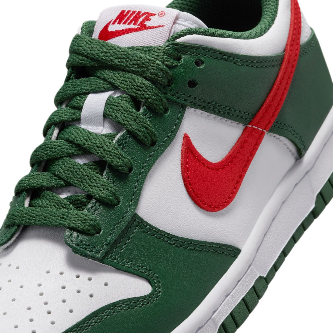 Dunk Low Shoes