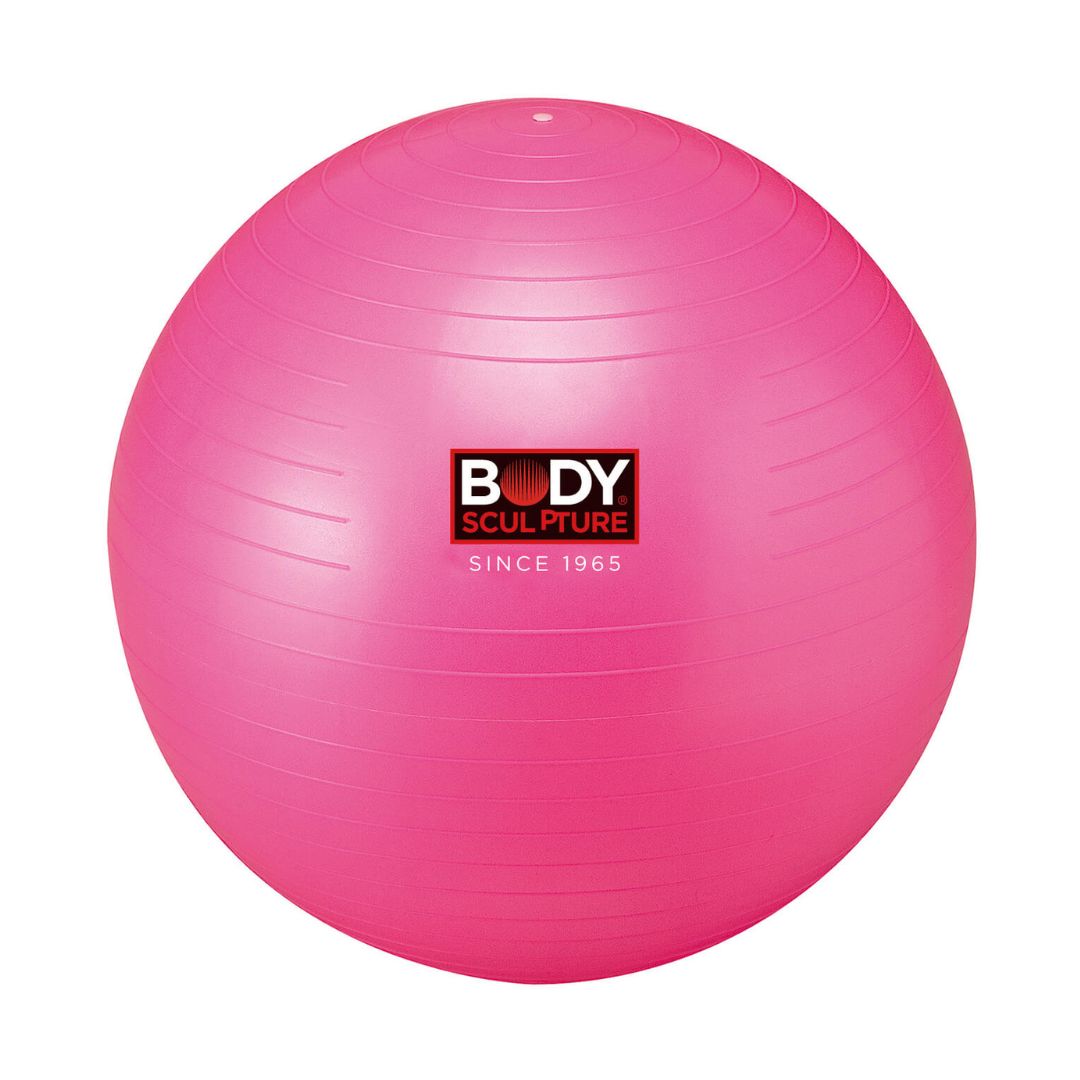 Gym Swiss Ball (56Cm)