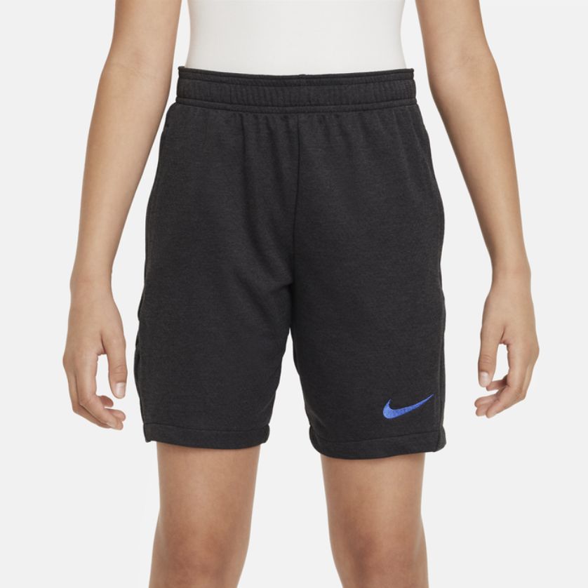 Dri-FIT Academy Shorts