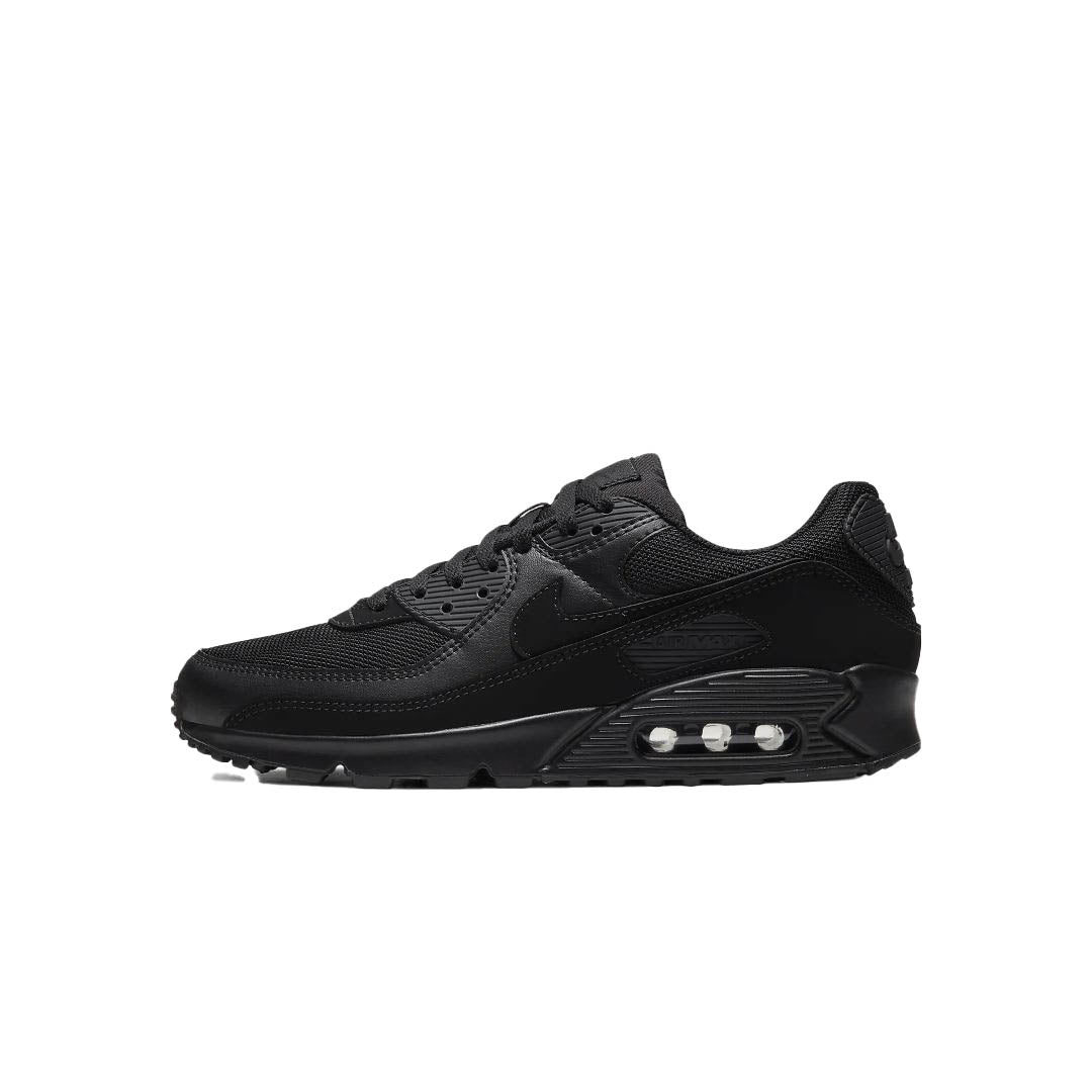 Air Max 90 Lifestyle Shoes