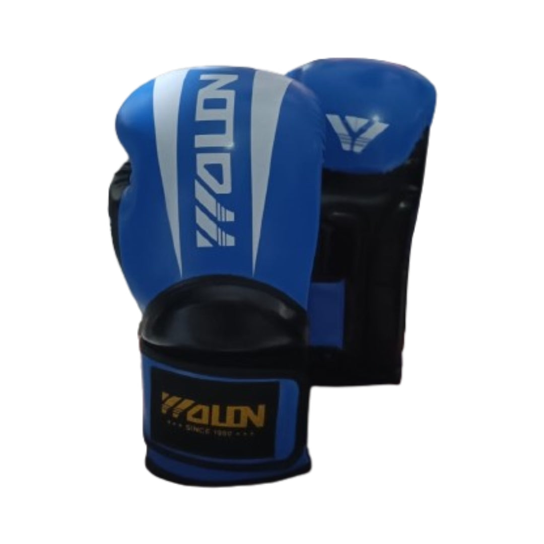Champion Boxing Gloves