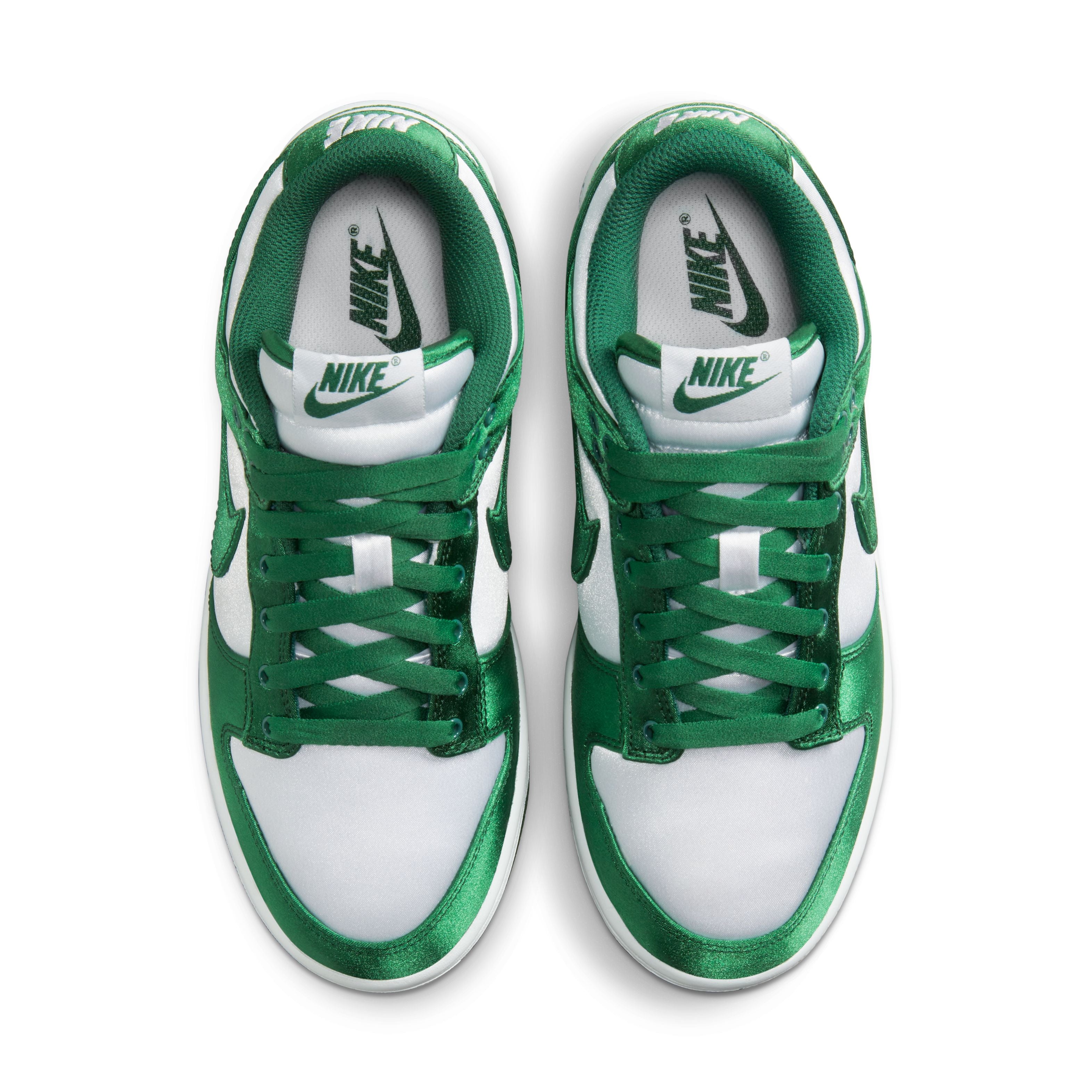 Dunk Lifestyle Shoes