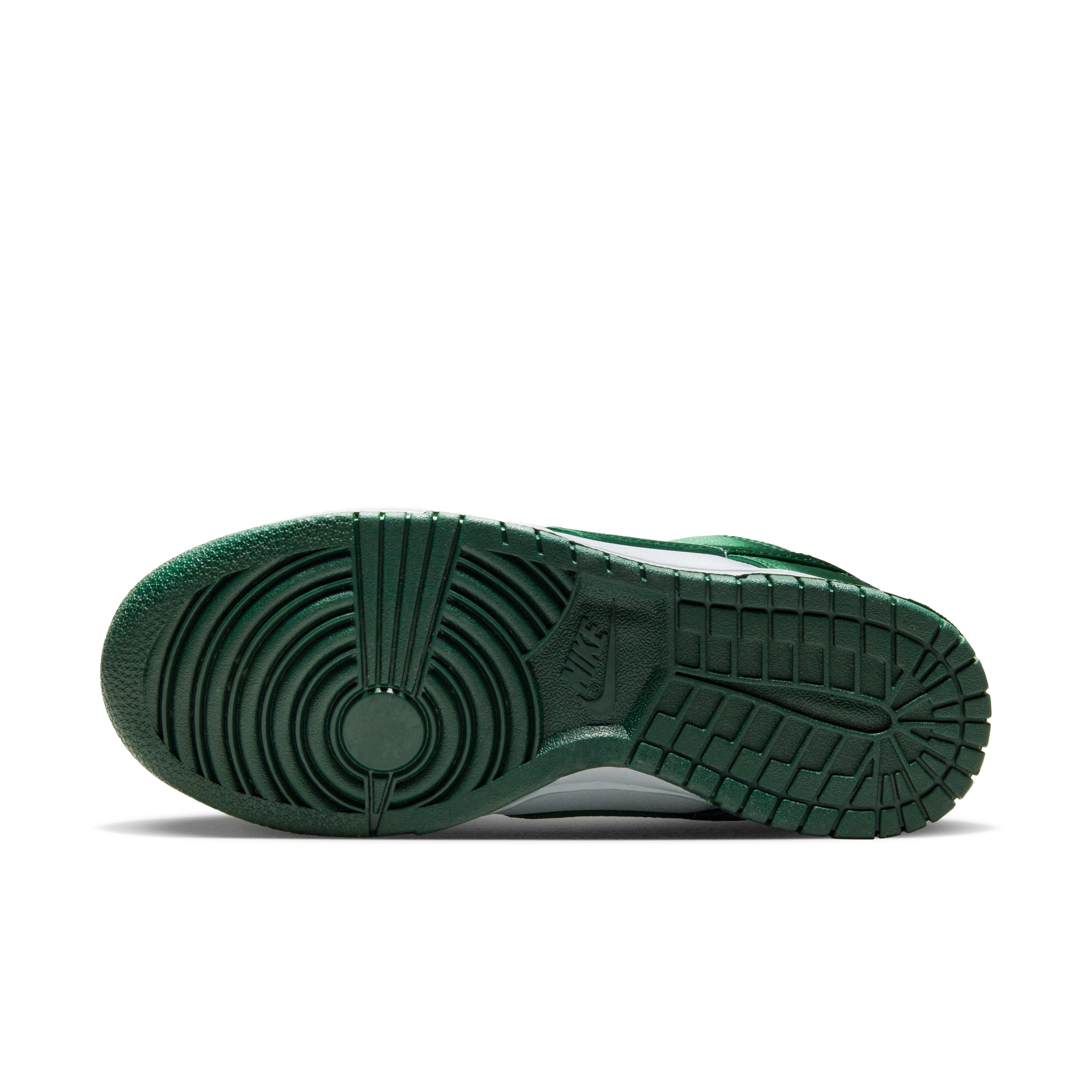 Dunk Lifestyle Shoes