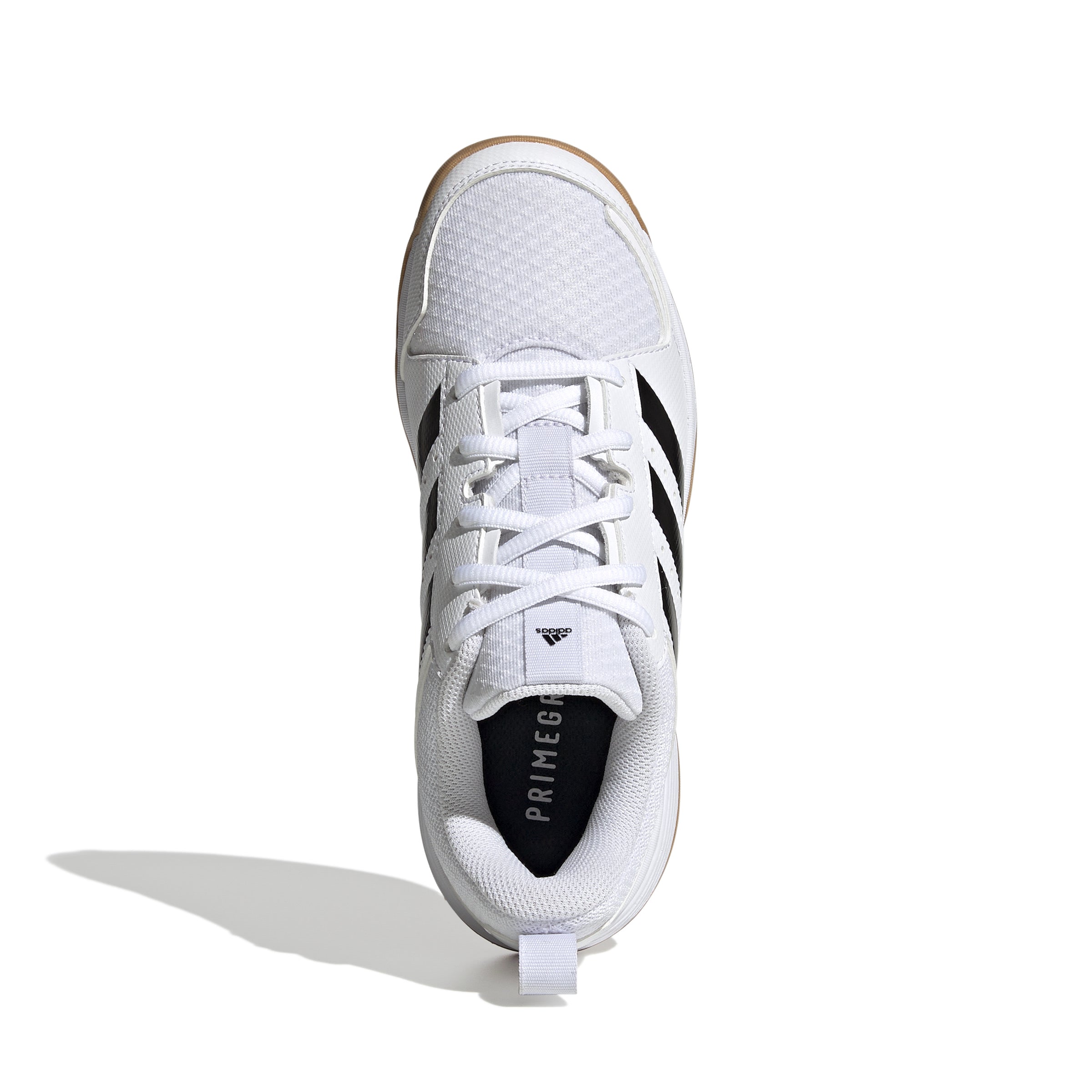 Ligra 7 Indoor Shoes