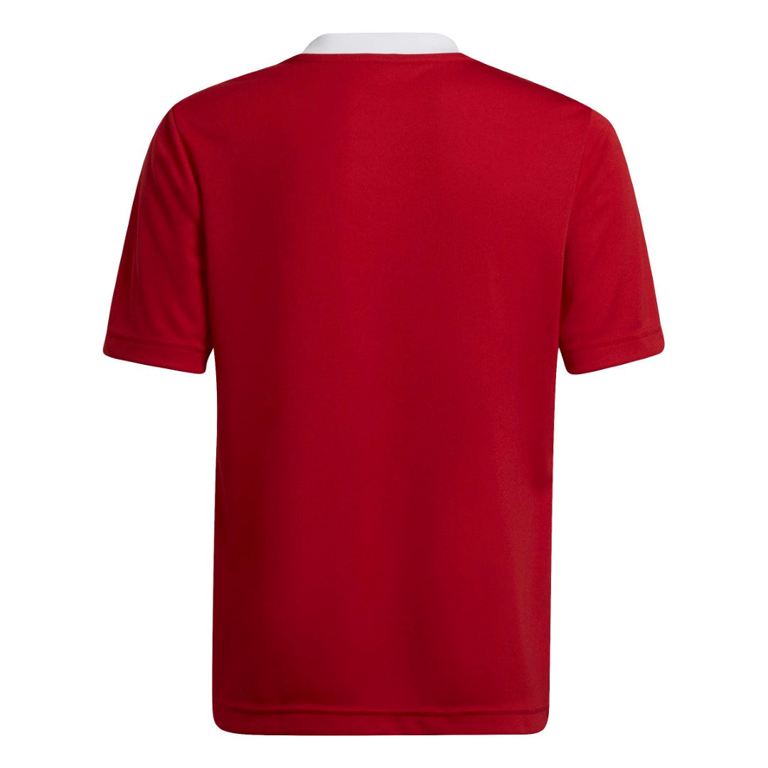 Entrada 22 Jersey