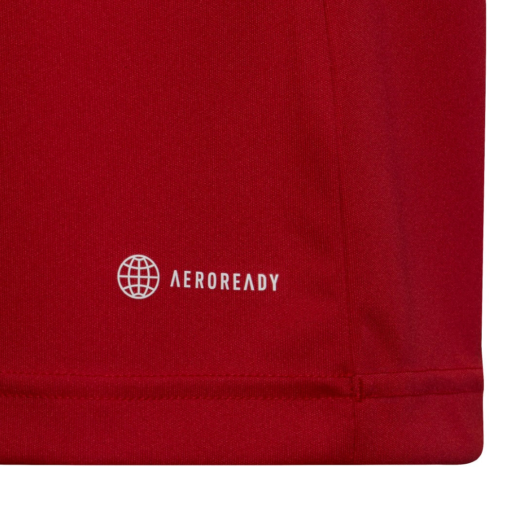 Entrada 22 Jersey