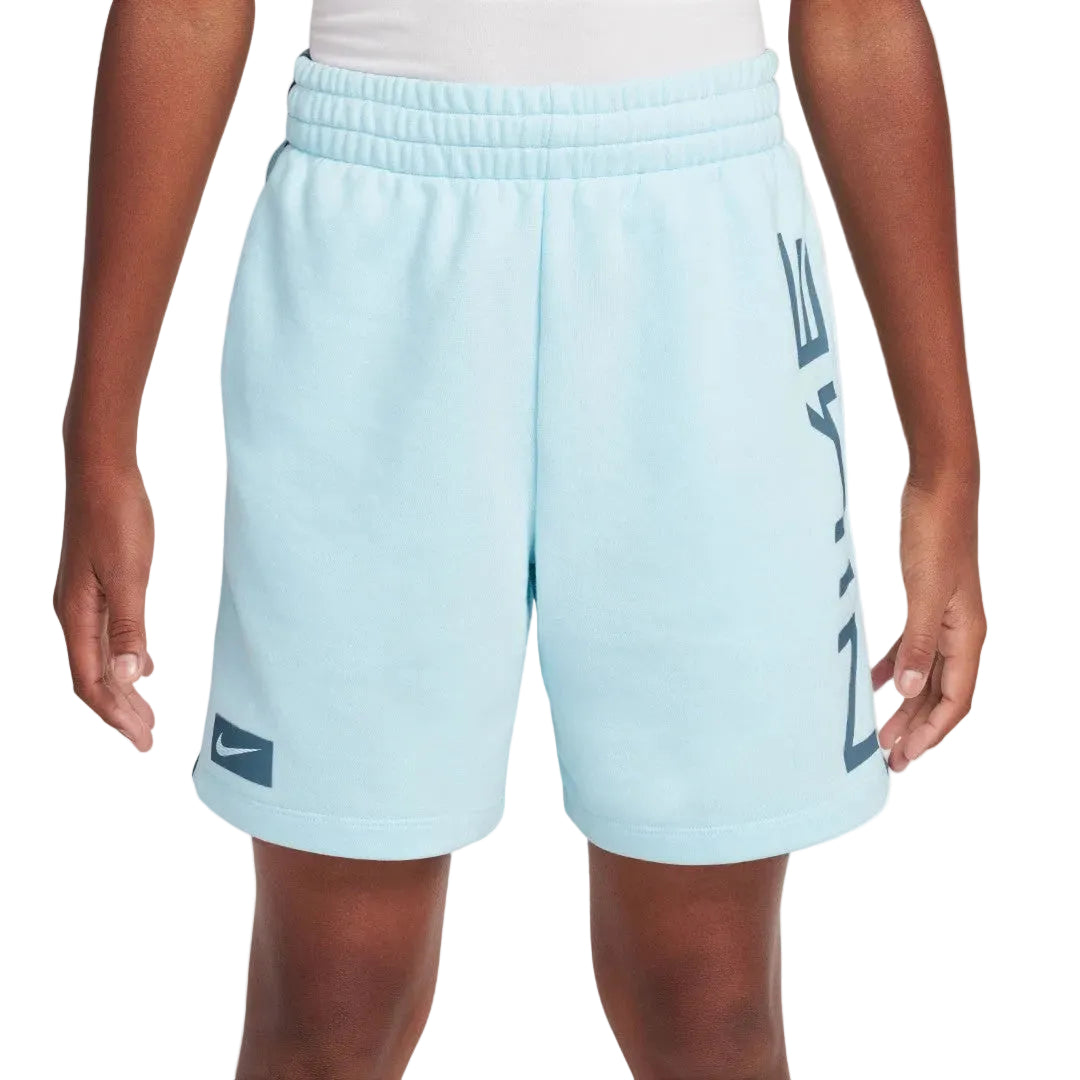 Multi Dri-FIT Fleece Shorts