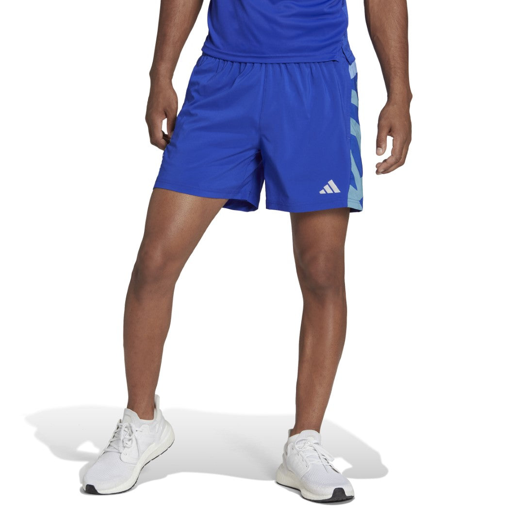 Own the Run Seasonal Shorts