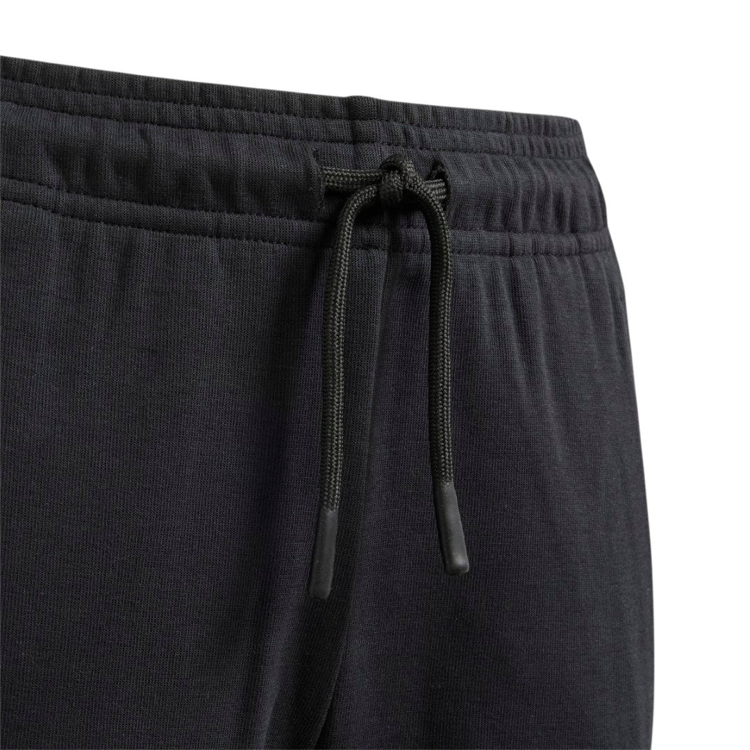 Future Icons 3-Stripes Pants