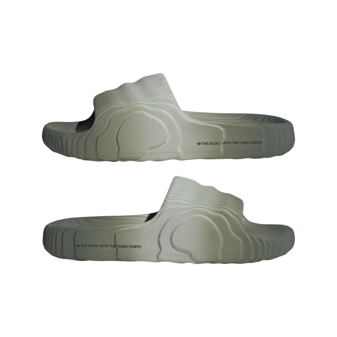 شباشب أديليت 22  