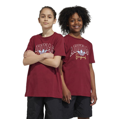 Collegiate Graphic Pack Bf T-Shirt