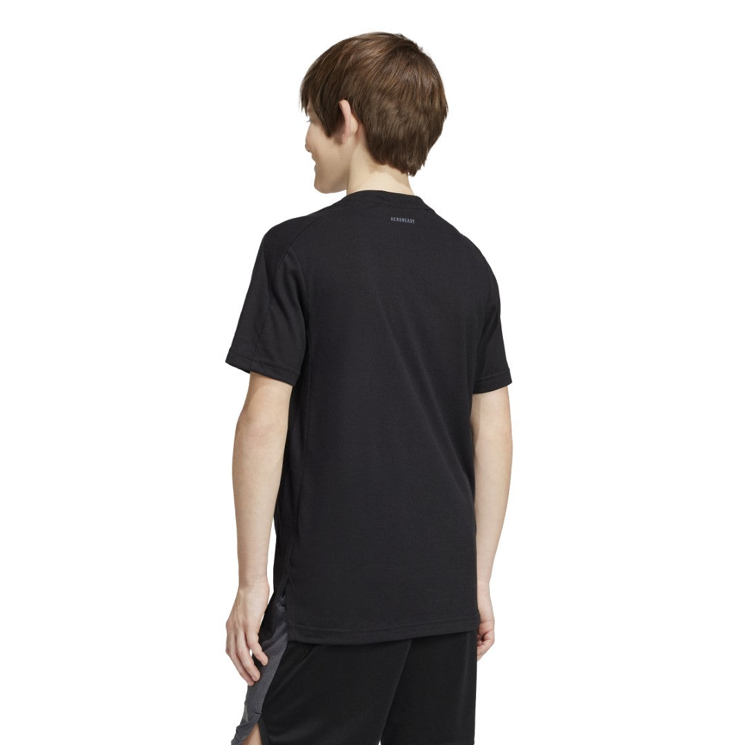 Training AEROREADY T-Shirt