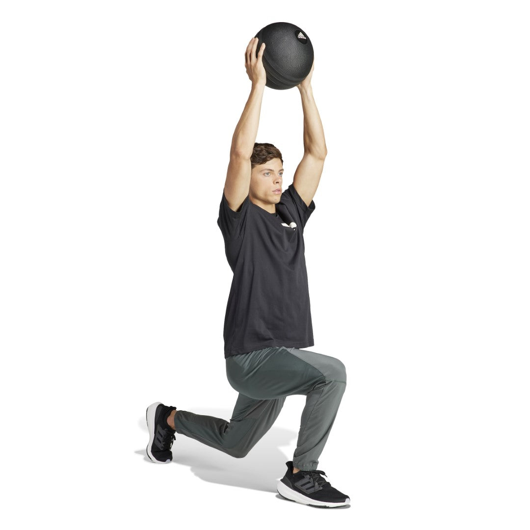 All-Gym Category Graphic T-Shirt