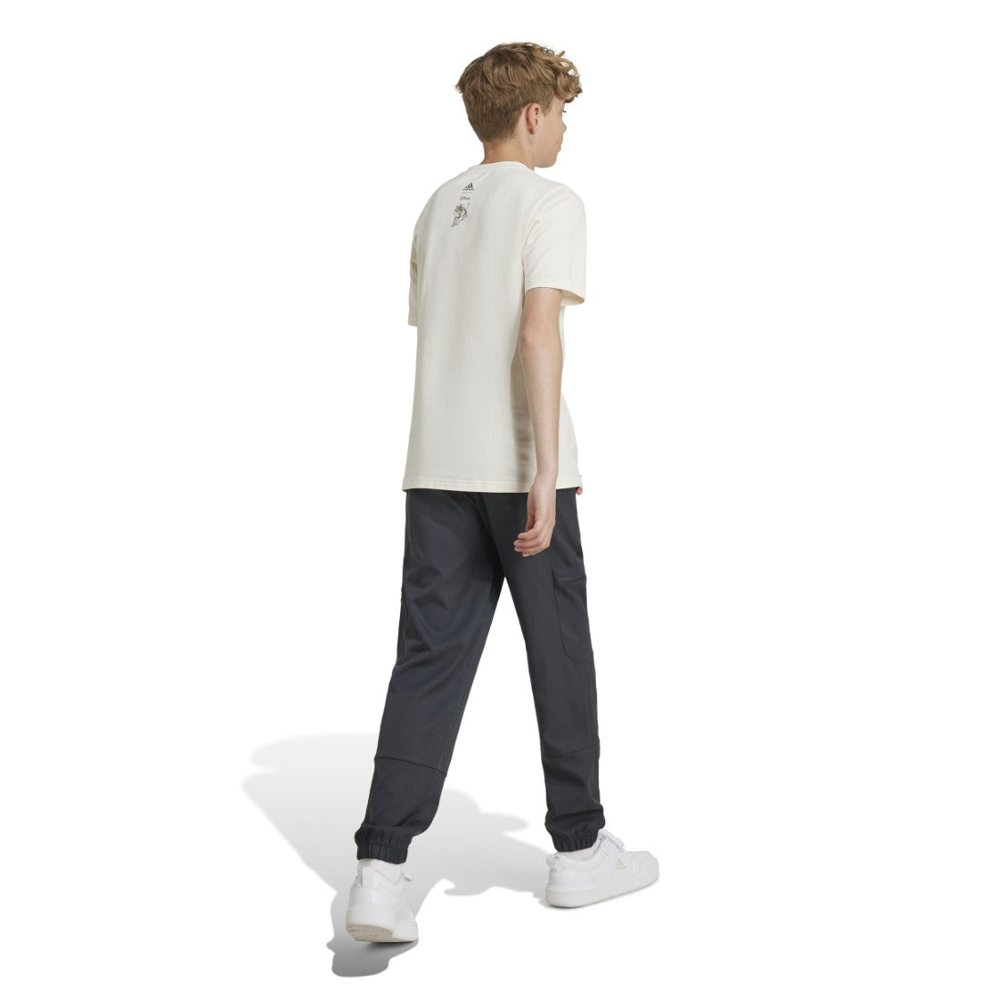 Disney Lion King Pants