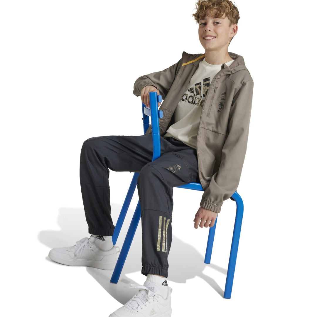 Disney Lion King Pants