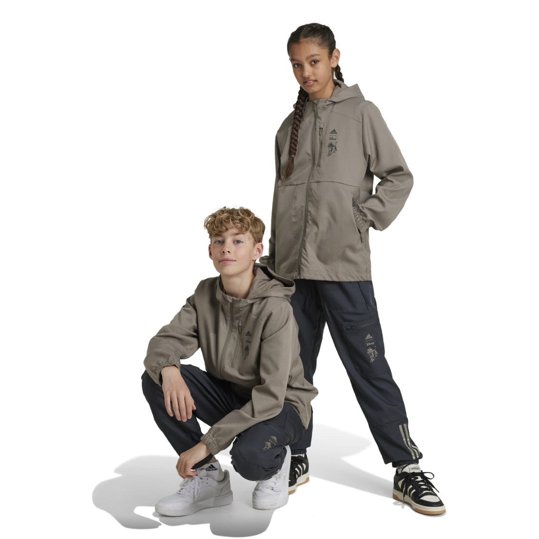 Disney Lion King Pants