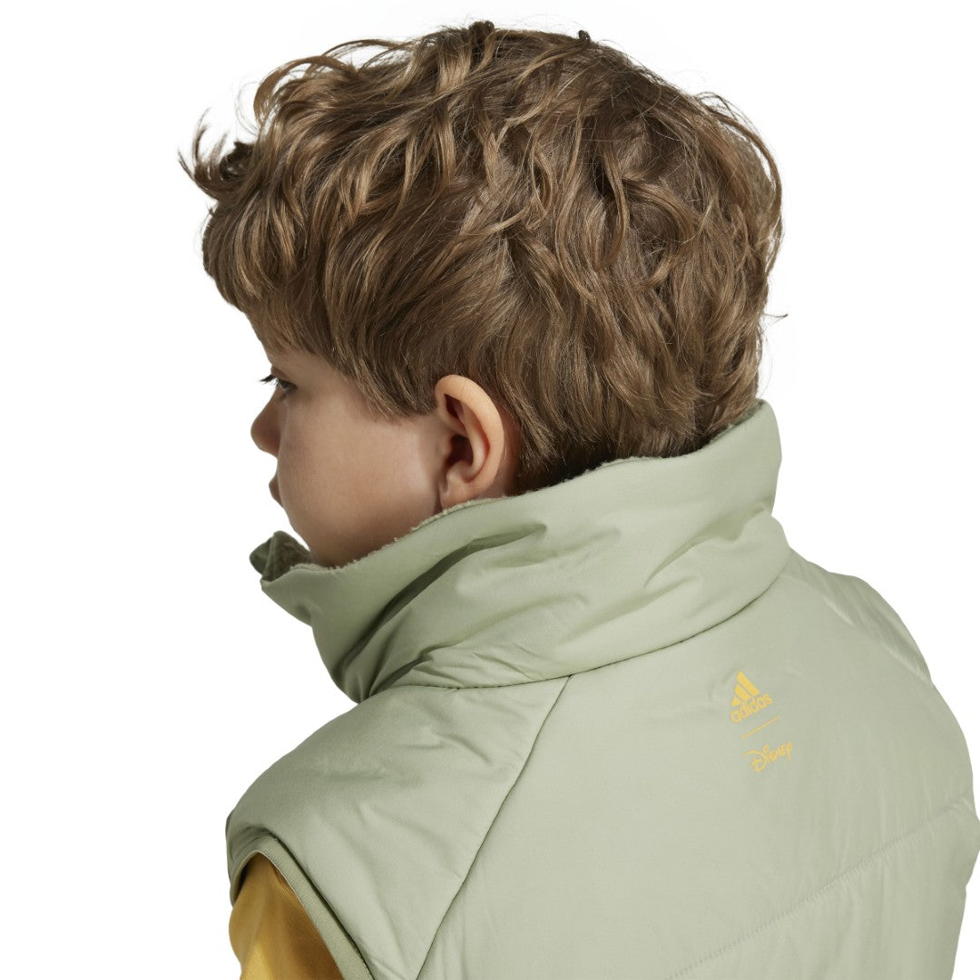 Disney Lion King Vest