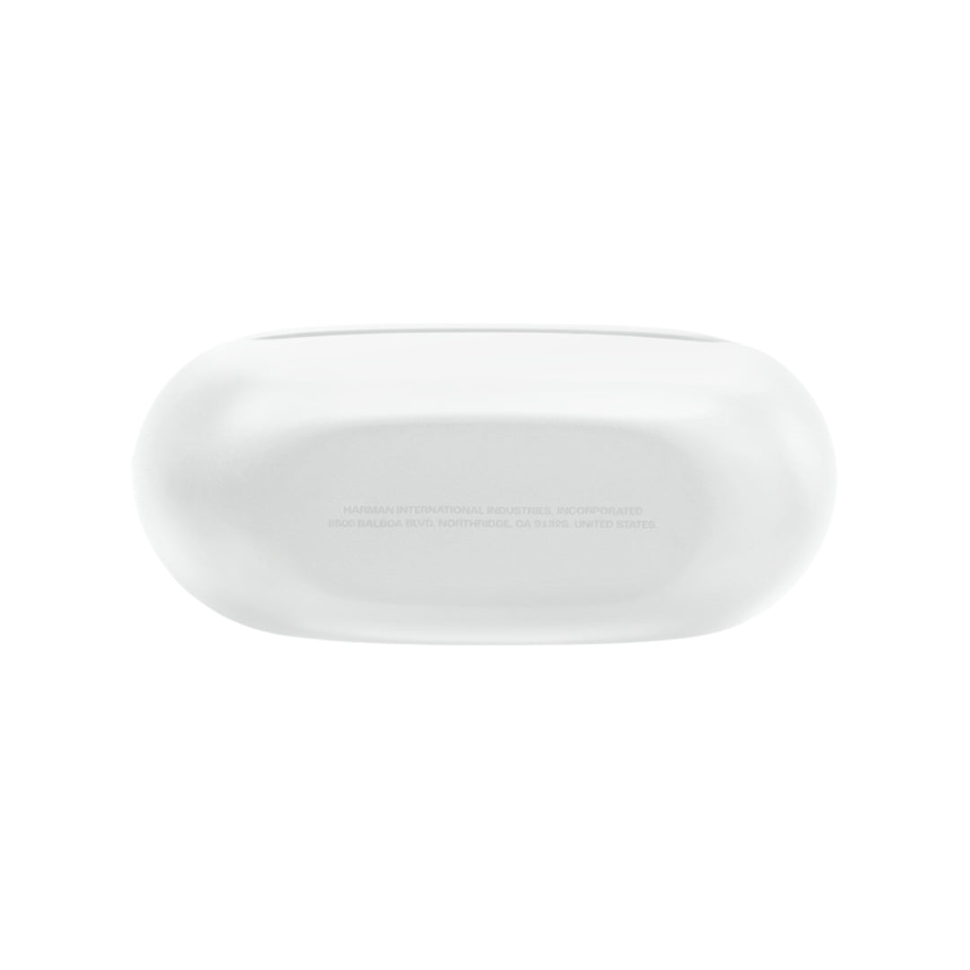 JBLEndurance Race 2 | Waterproof Sports True Wireless Earbuds