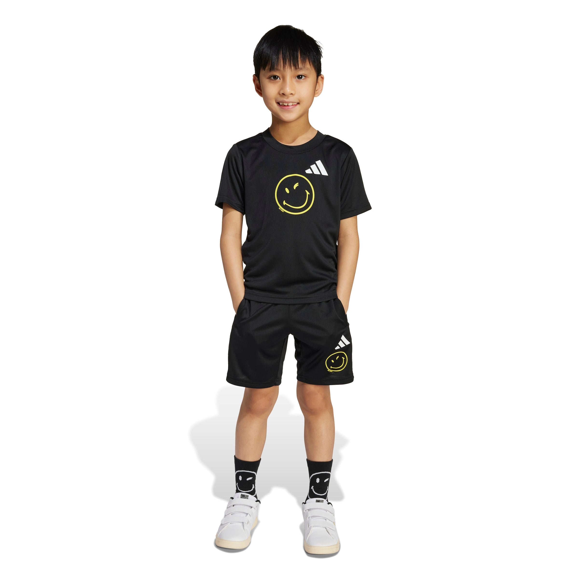 X Smileyworld Training Set