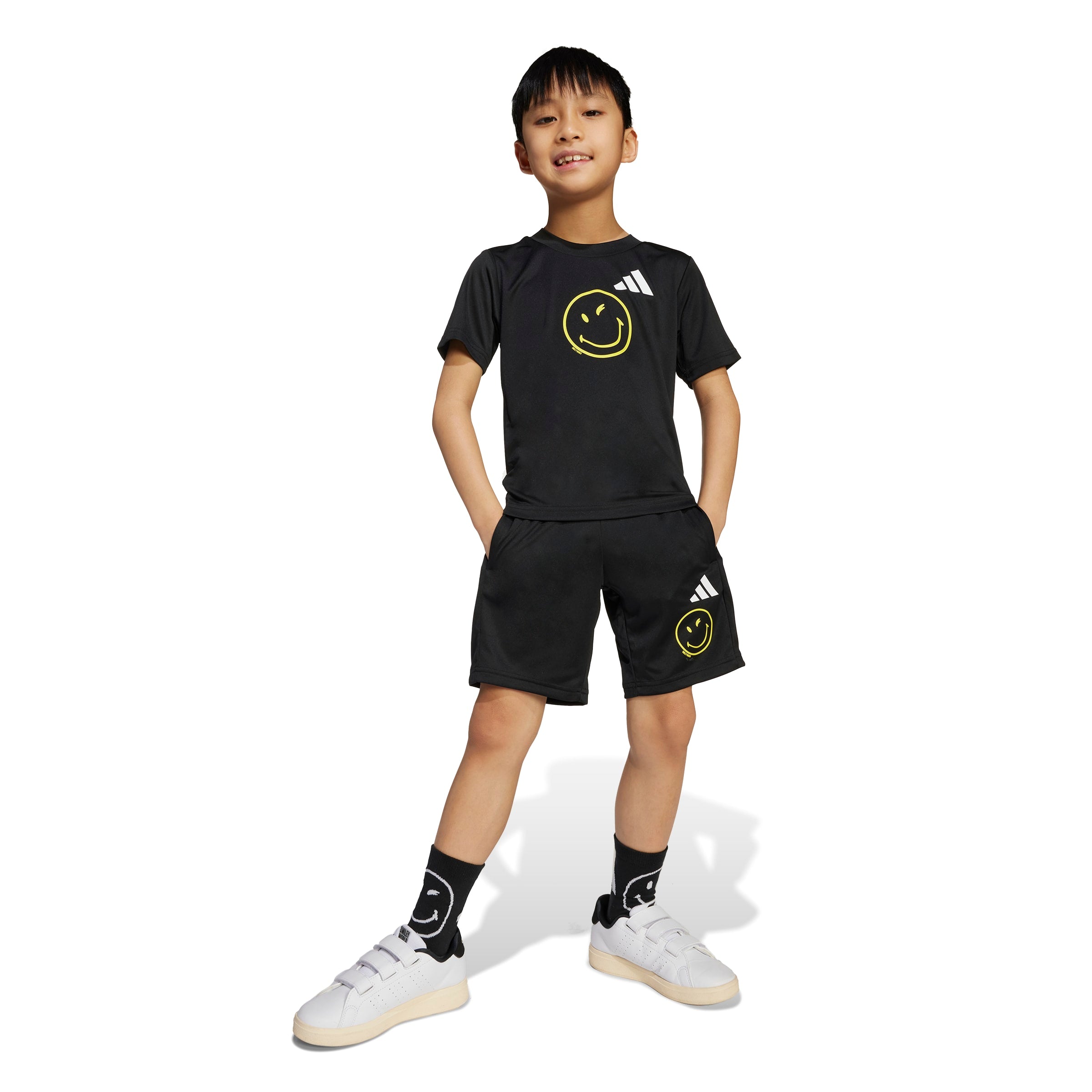 X Smileyworld Training Set
