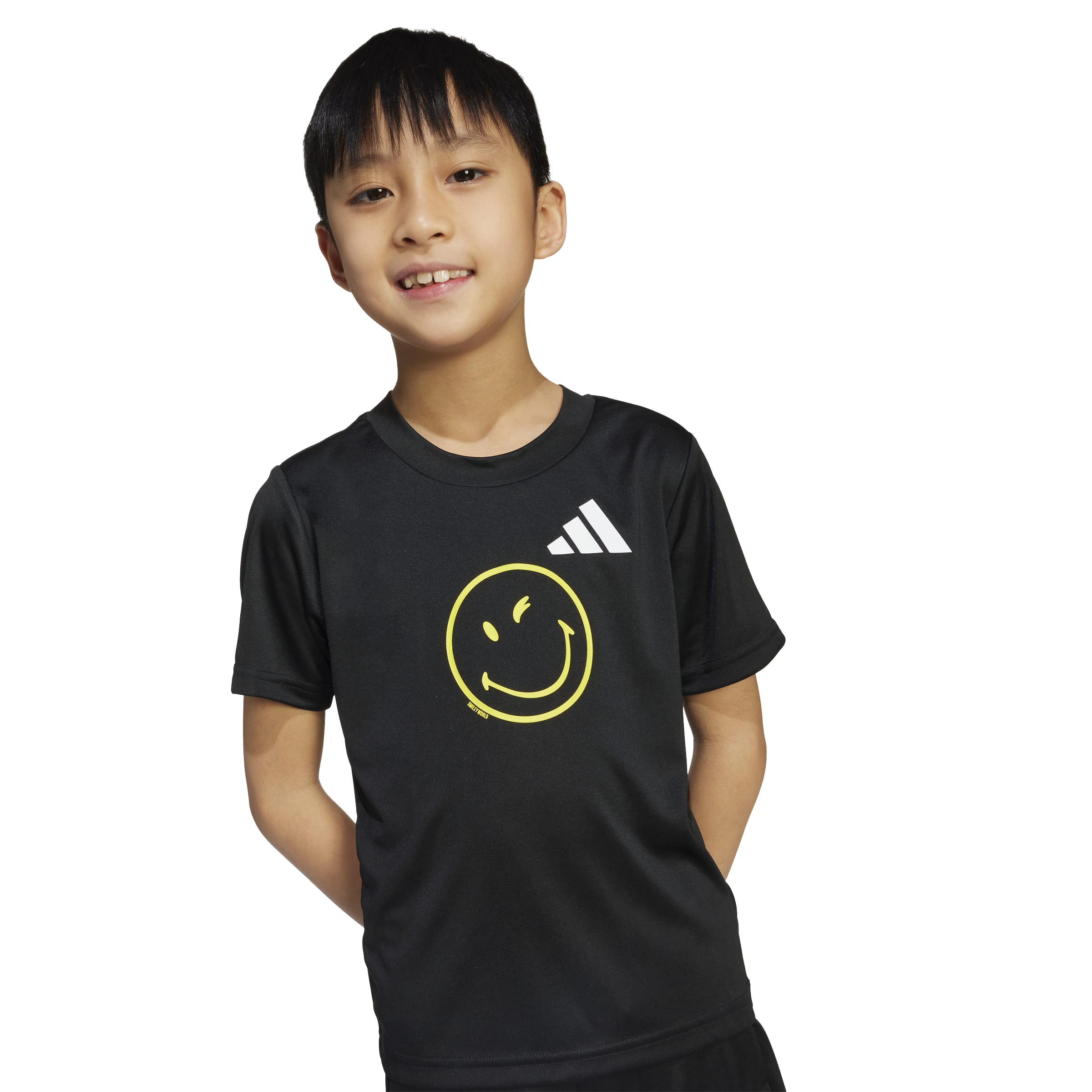X Smileyworld Training Set