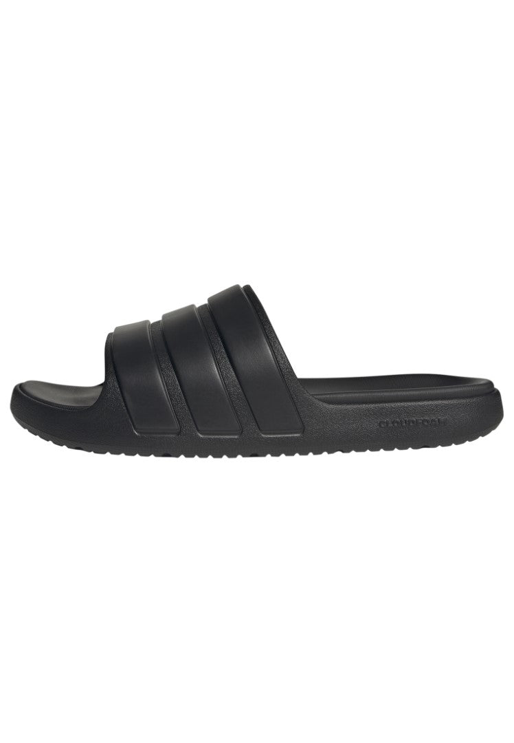 Znsory Slides