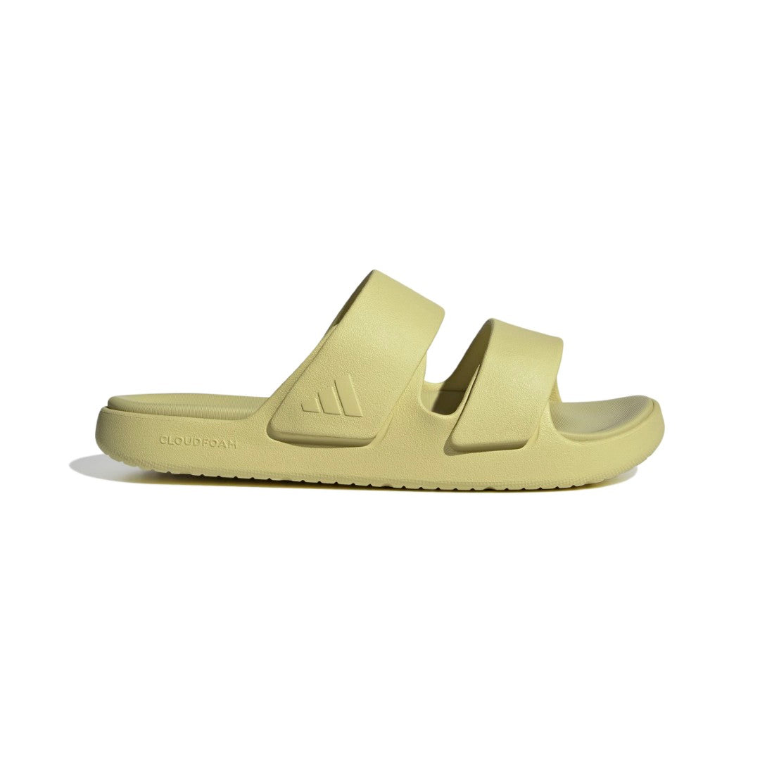 Znsory Slides