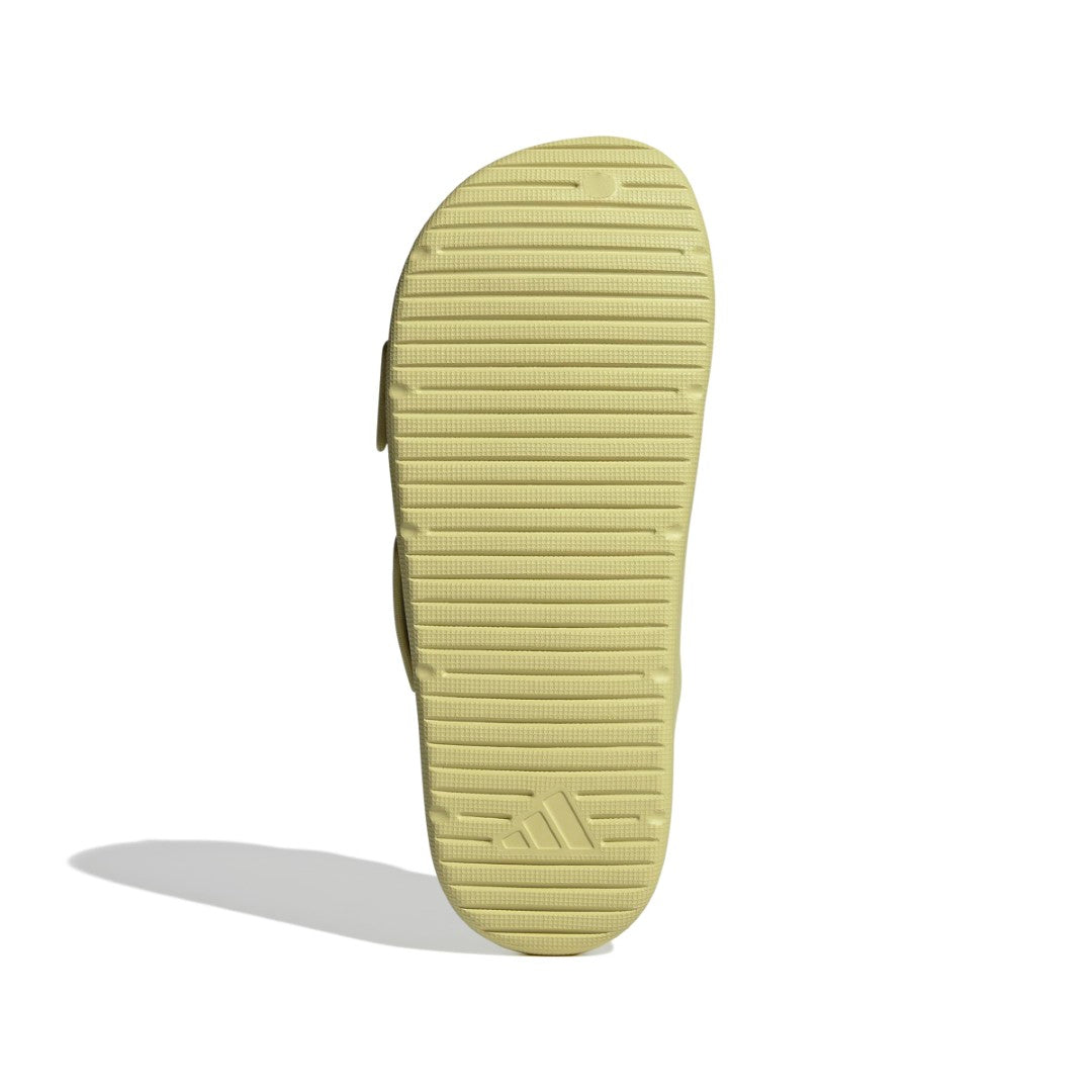Znsory Slides