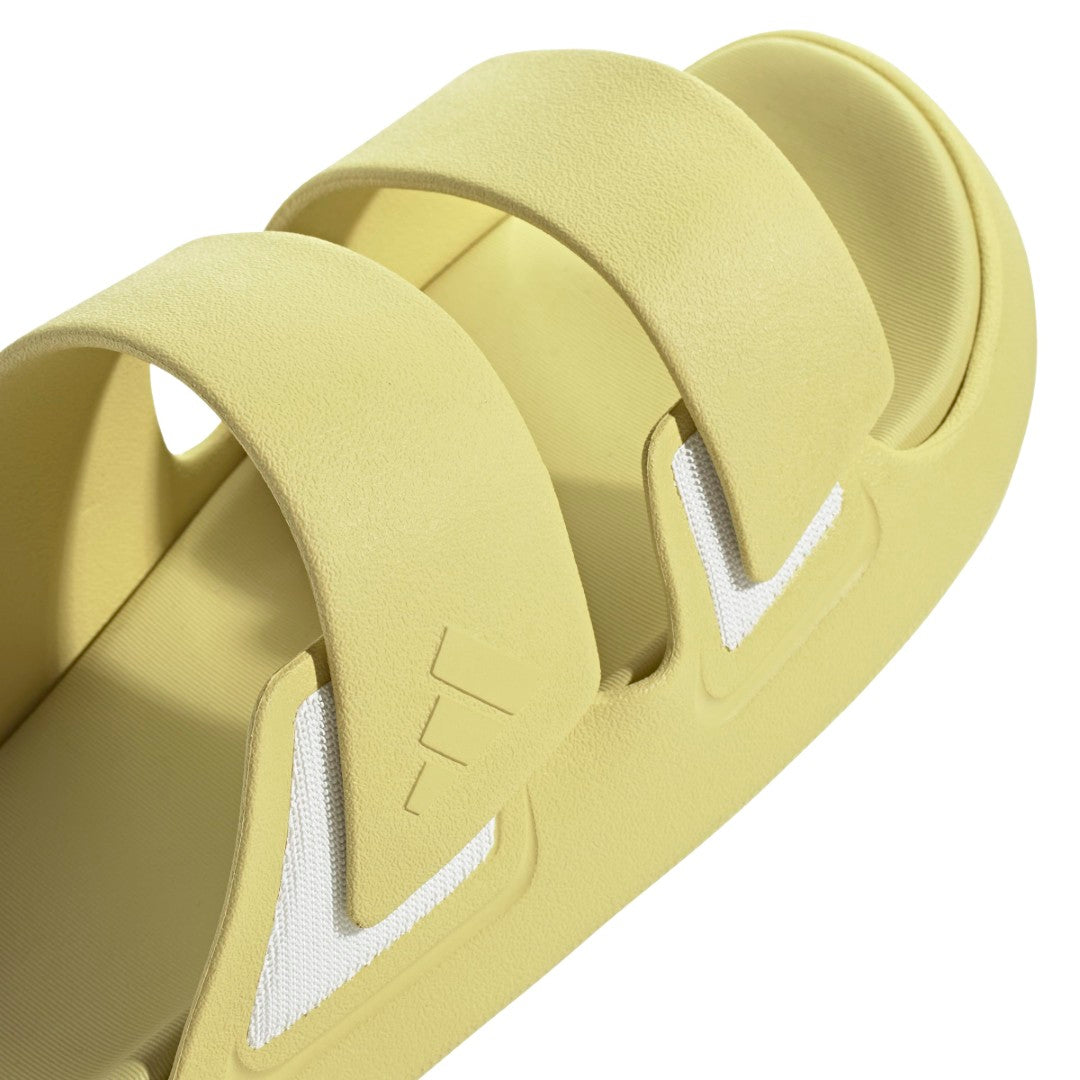 Znsory Slides