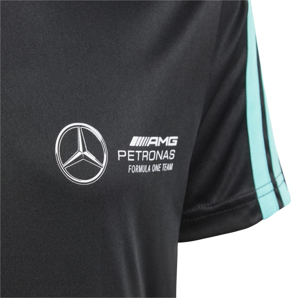 Mercedes - Amg Petronas Formula One Team Dna T-Shirt