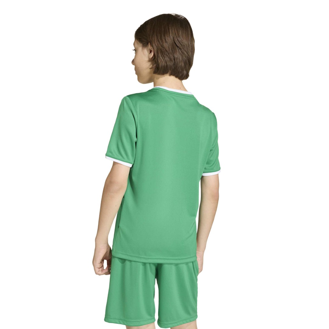 Entrada 26 Jersey