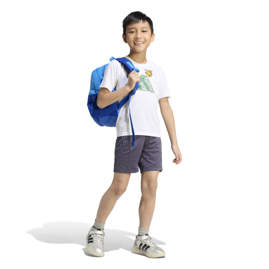 Minecraft Training Matching Set