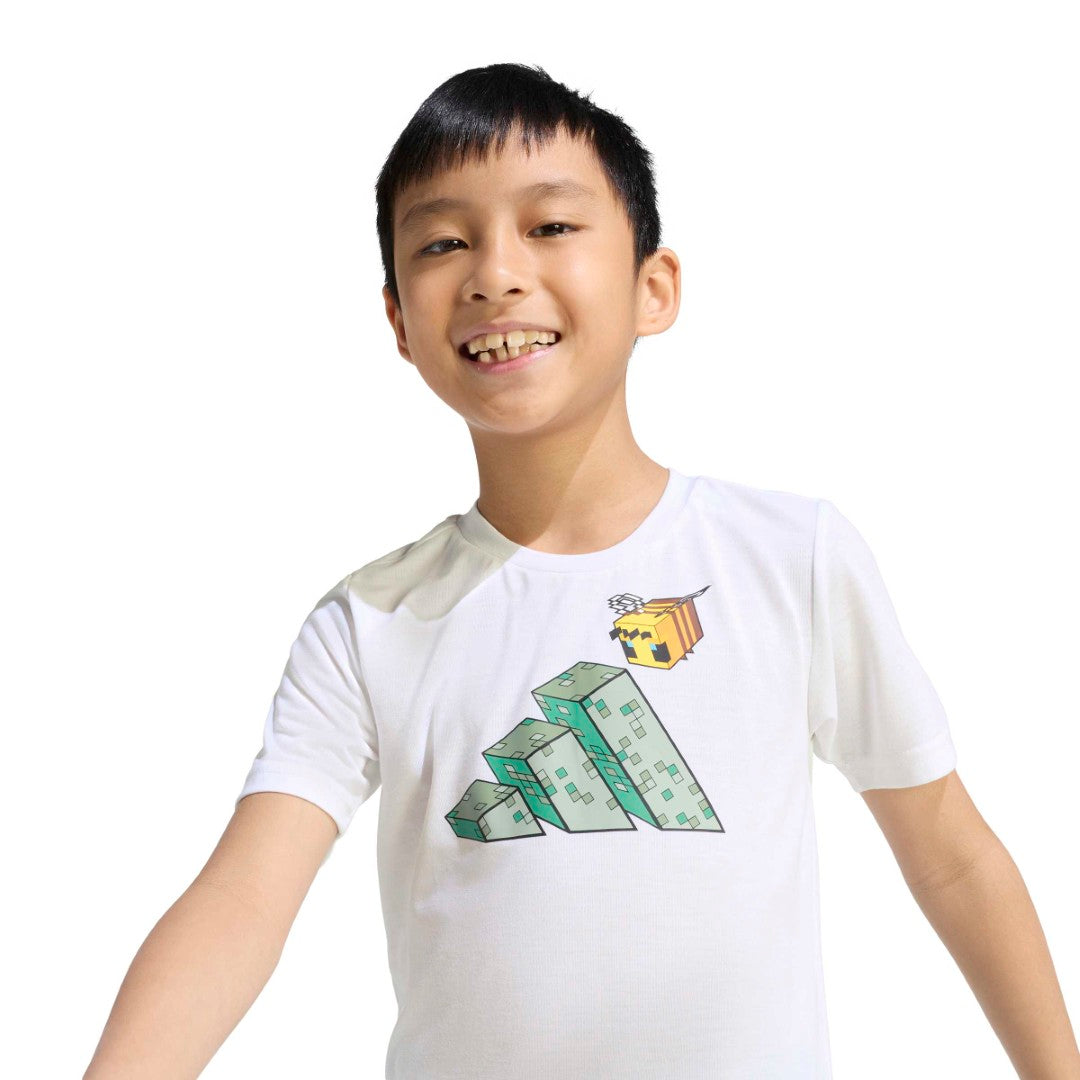 Minecraft Training Matching Set
