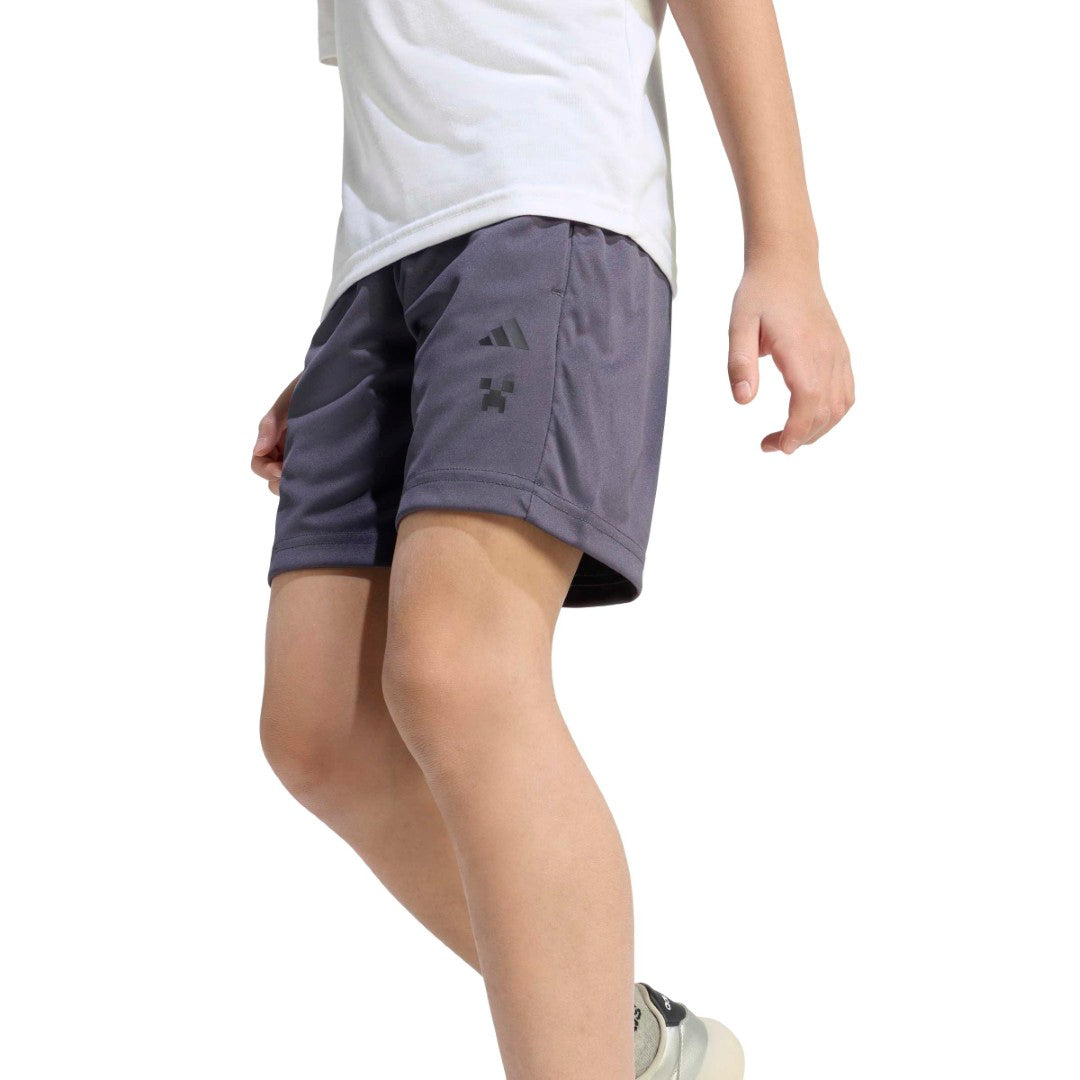 Minecraft Training Matching Set