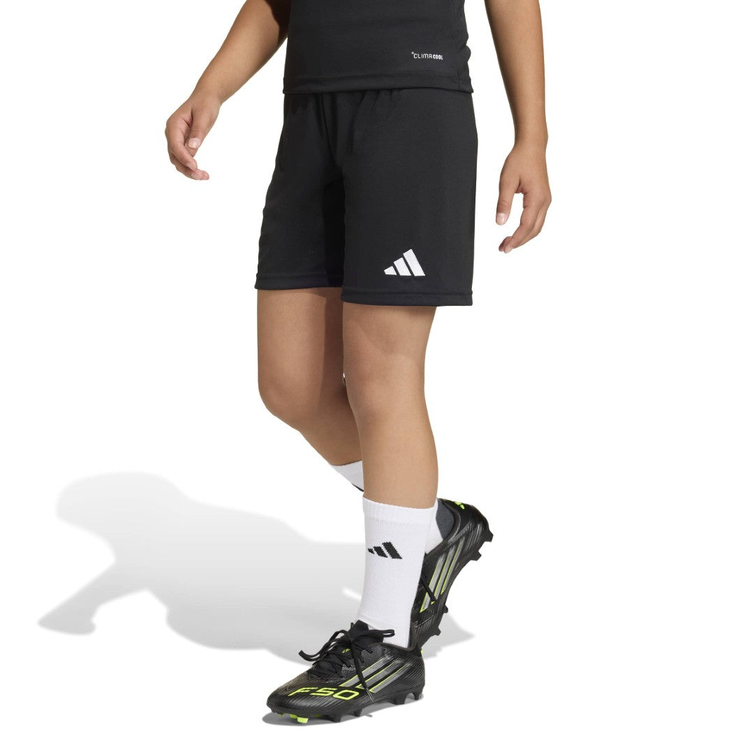 Entrada 26 Shorts