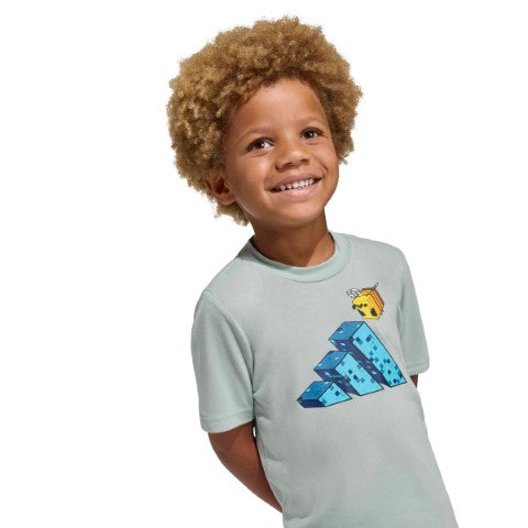 Minecraft Training Summer Set
