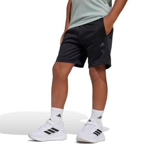 Minecraft Training Summer Set
