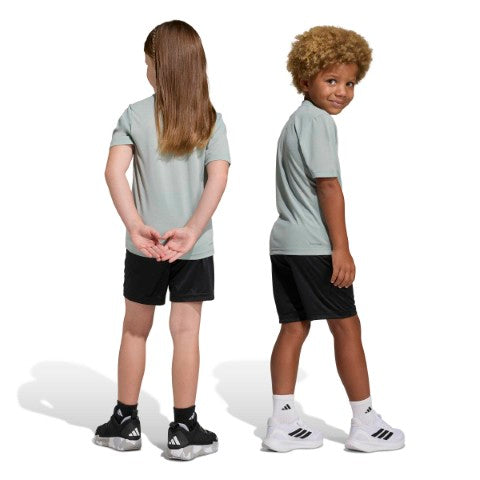 Minecraft Training Summer Set
