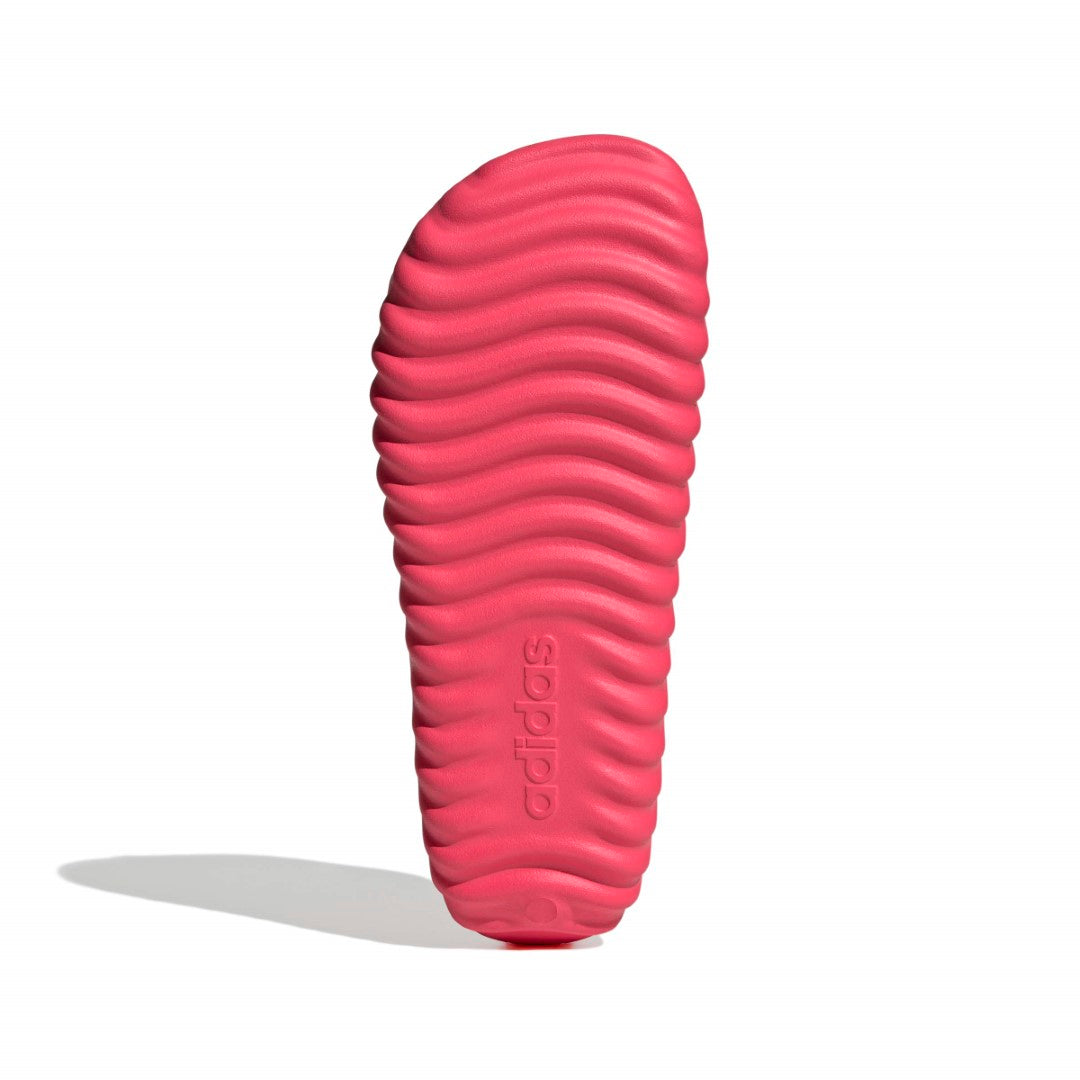 Adissage 360Rec Slides
