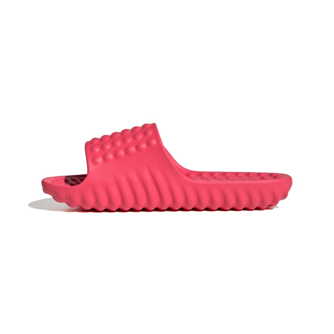 Adissage 360Rec Slides