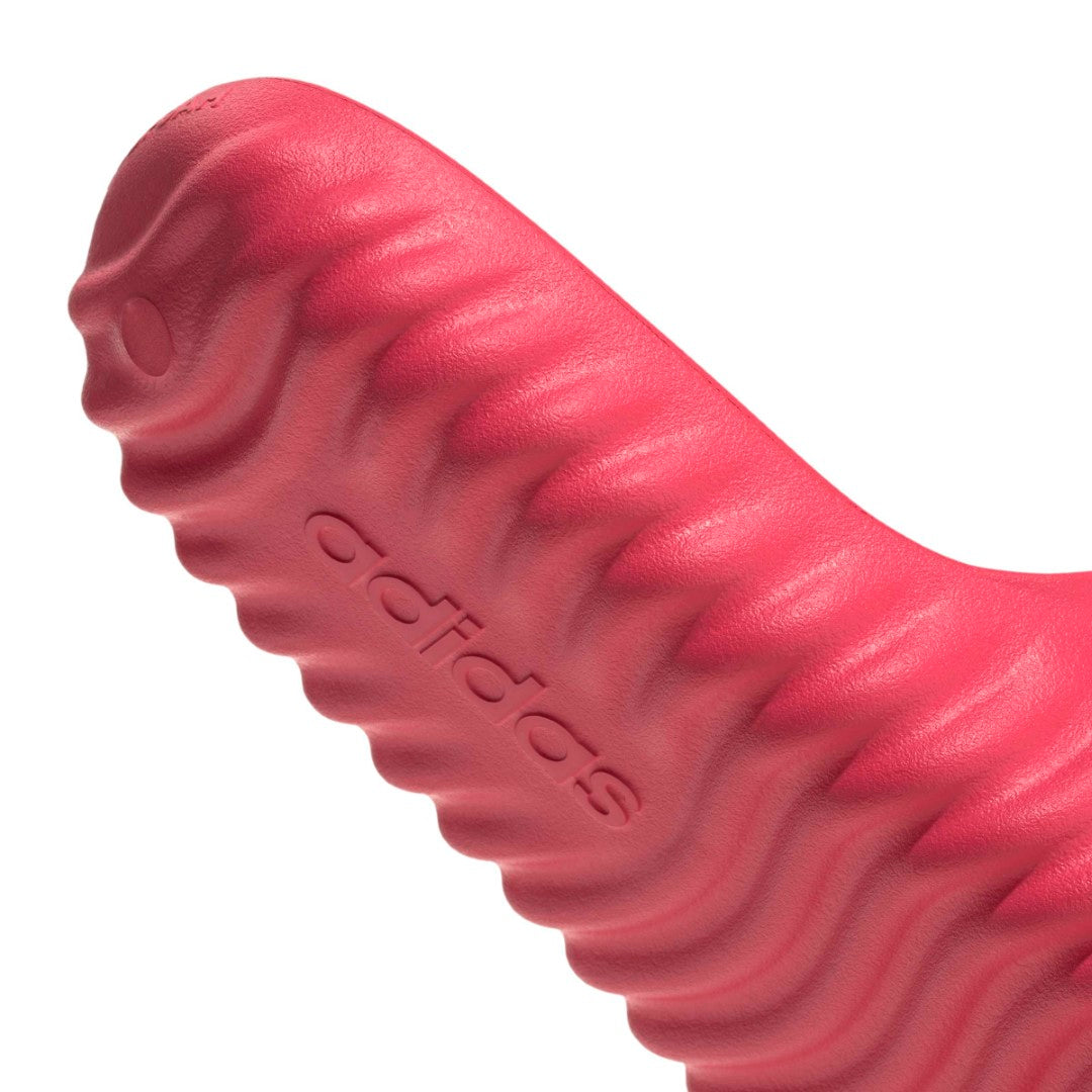 Adissage 360Rec Slides