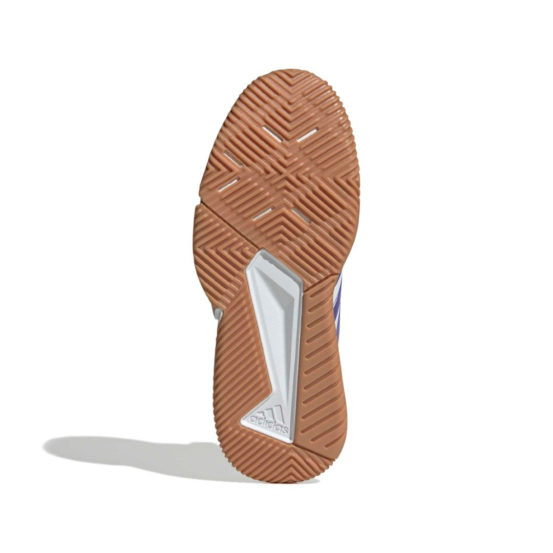 Court Flight Indoor Shoes