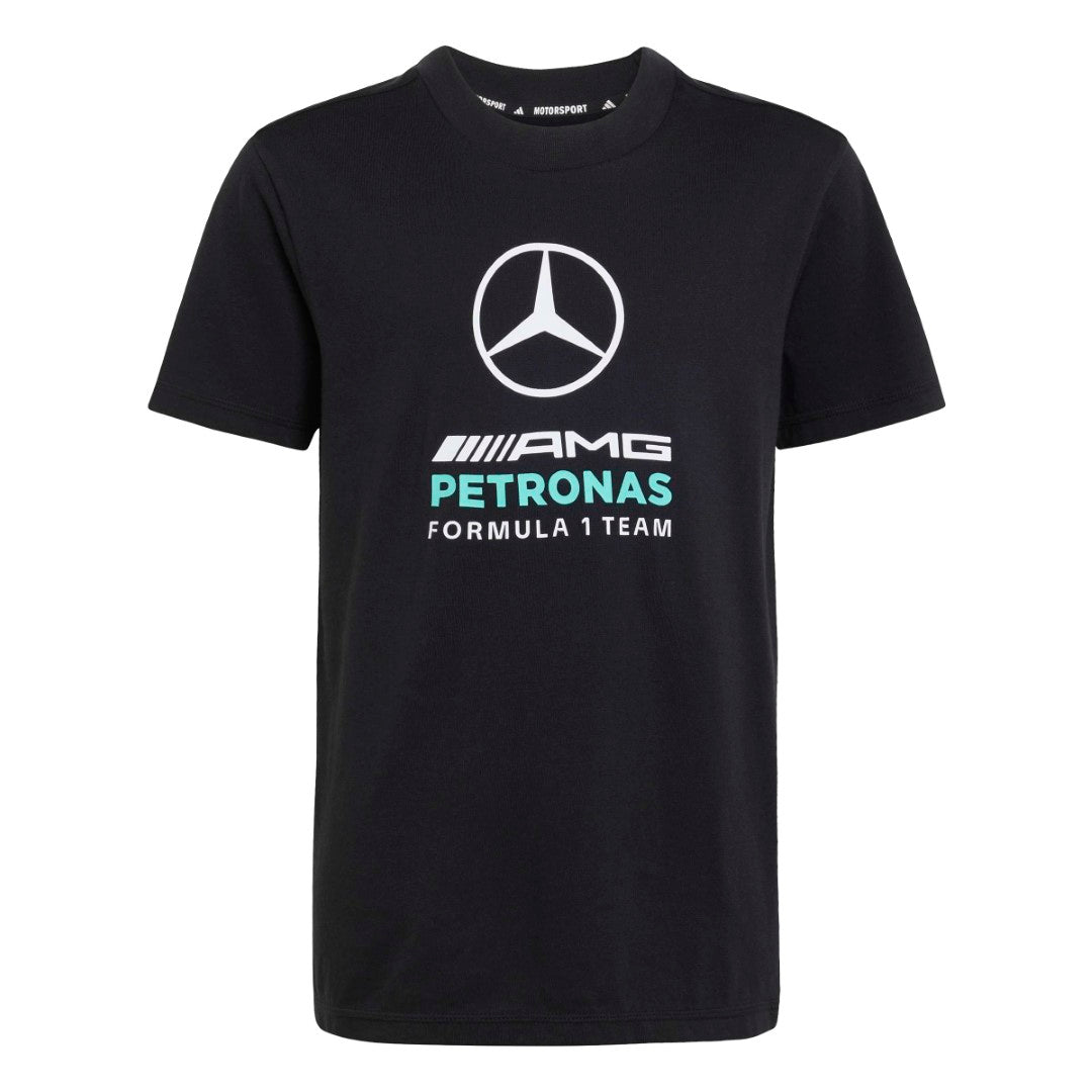 Mercedes - Amg Petronas Formula 1 Team Dna Graphic T-Shirt