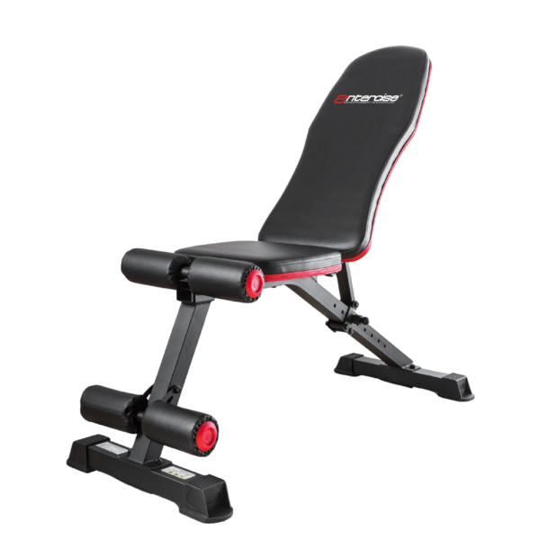 (Ms 108) Entercise Adjustable Bench