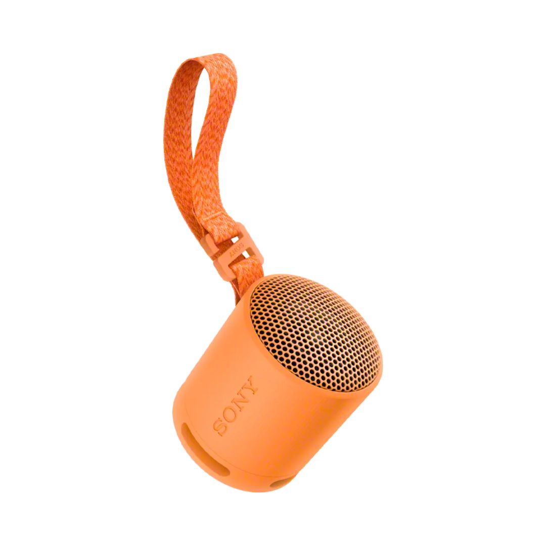 SRS-XB100 Portable Bluetooth Speaker